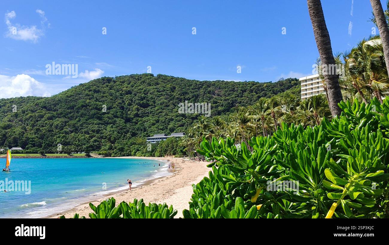 Hamilton Island paradise: turquoise water laps at a pristine shore framed by swaying palms. A lone sailboat glides on the horizon, promising adventure Stock Photo