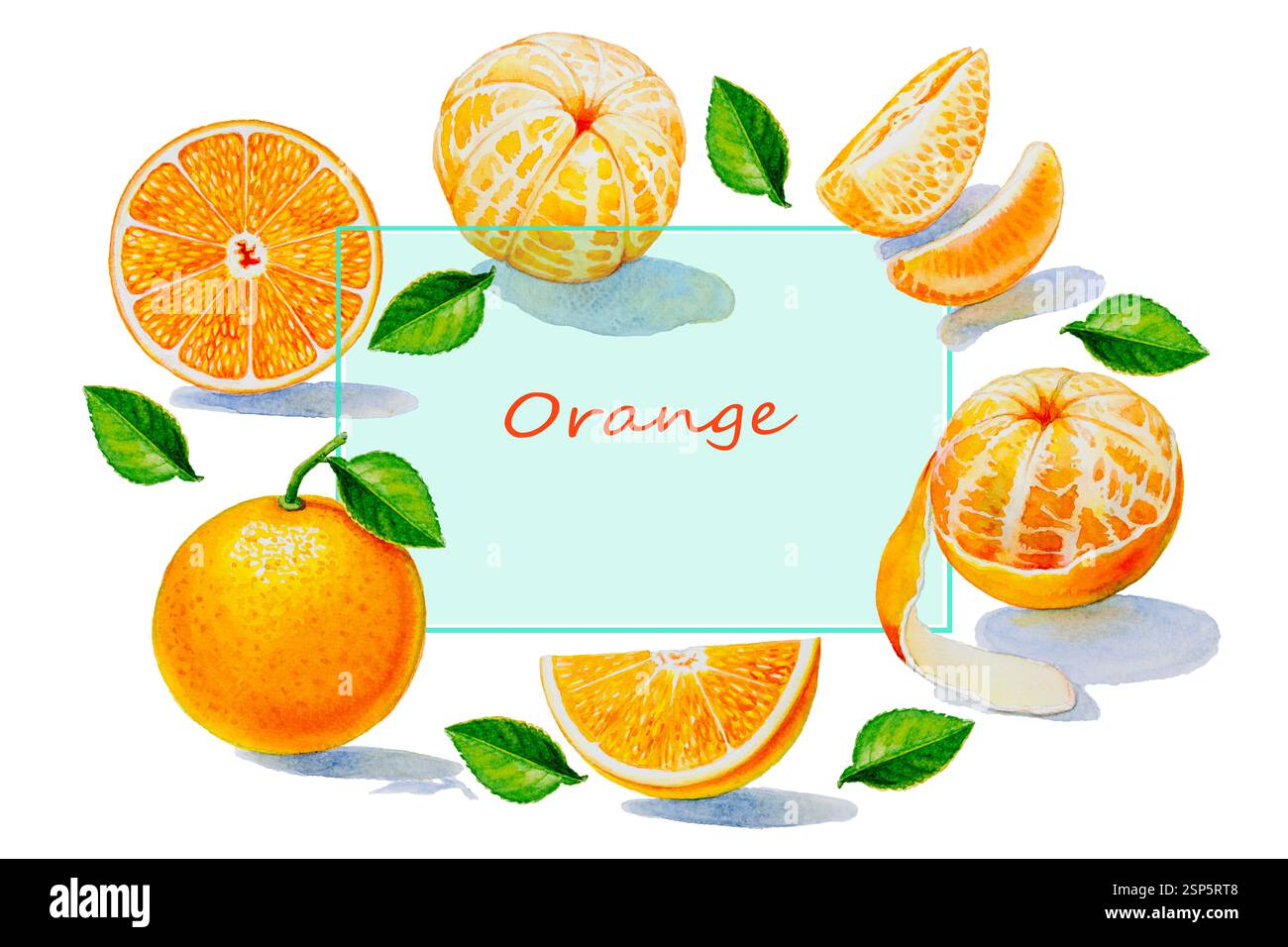 Painting summer orange collection, isolated. Original hand drawn watercolor paintings, illustration on white background with poster wallpaper for fun Stock Photo
