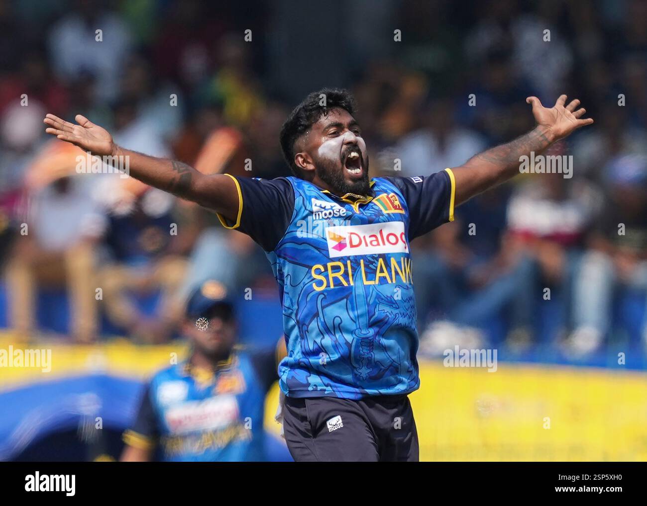 Sri Lanka's Asitha Fernando celebrates the wicket of Australia's ...