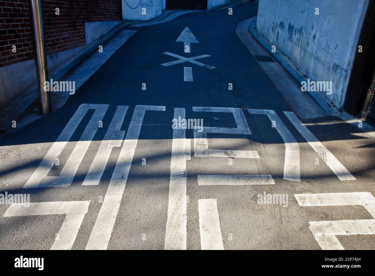 Road. White arrow pointing forward with a pedestrian crossing symbol ...