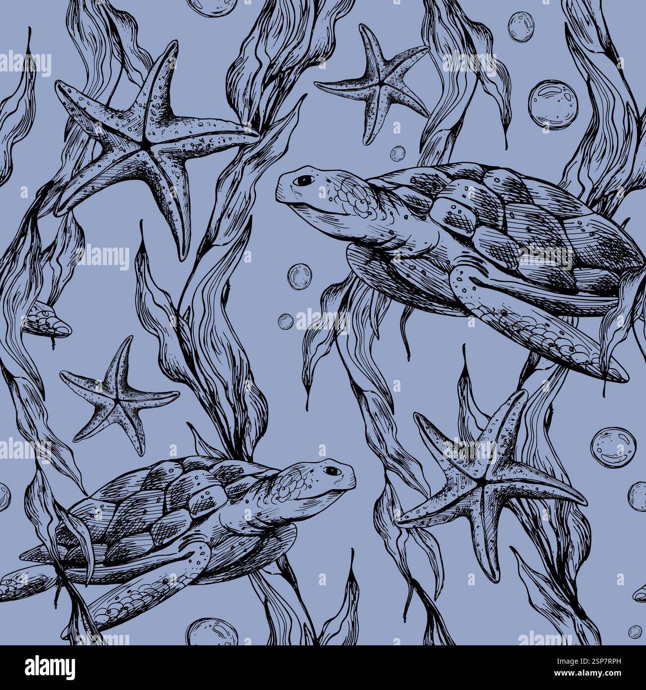 Algae coloring Stock Vector Images - Alamy