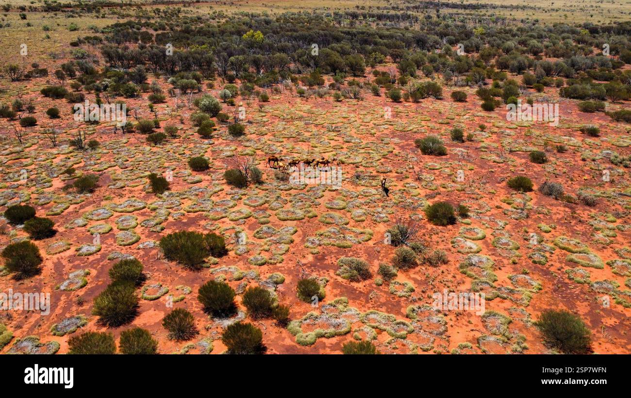 Outback Climate The Australian outback and it´s vegetation in the dry season, seen from ...