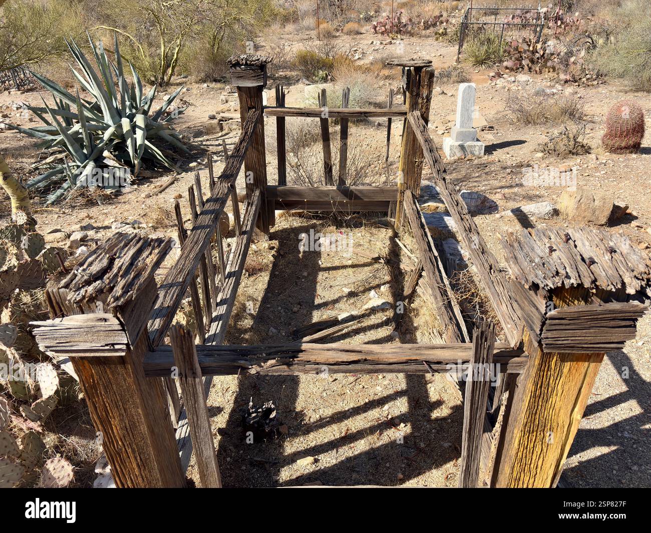 Decayed wooden grave enclosure in an old desert cemetery with cacti ...