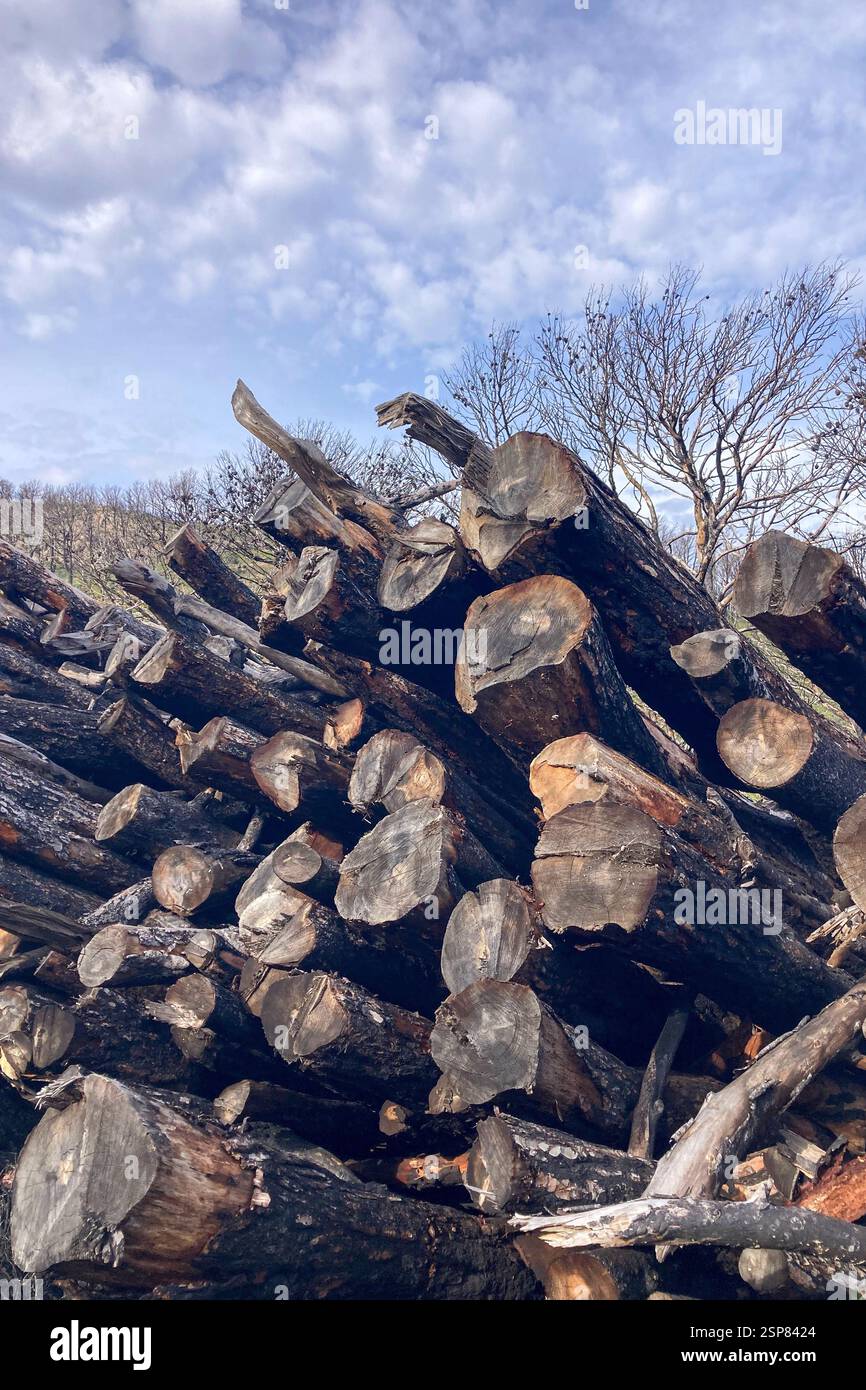 Hiking on trail along abandoned open-pit mine and burnt trees near Mijas, Spain - Smartphone Captured Stock Image