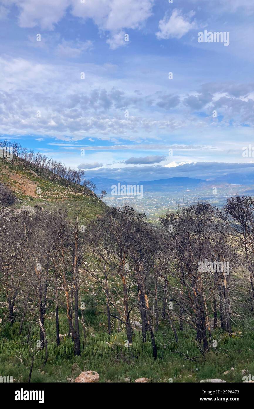 Hiking on trail along abandoned open-pit mine and burnt trees near Mijas, Spain - Smartphone Captured Stock Image
