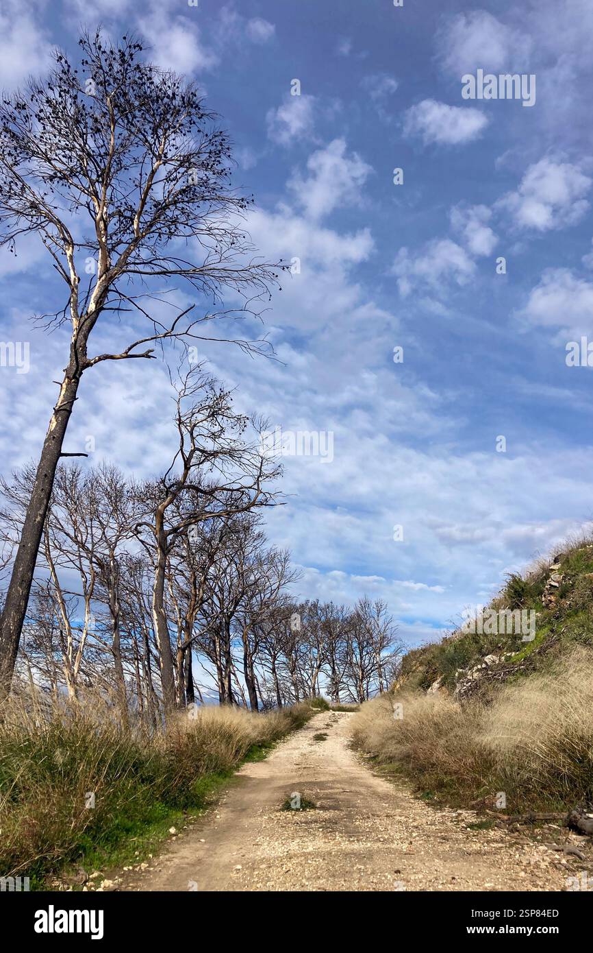 Hiking on trail along abandoned open-pit mine and burnt trees near Mijas, Spain - Smartphone Captured Stock Image