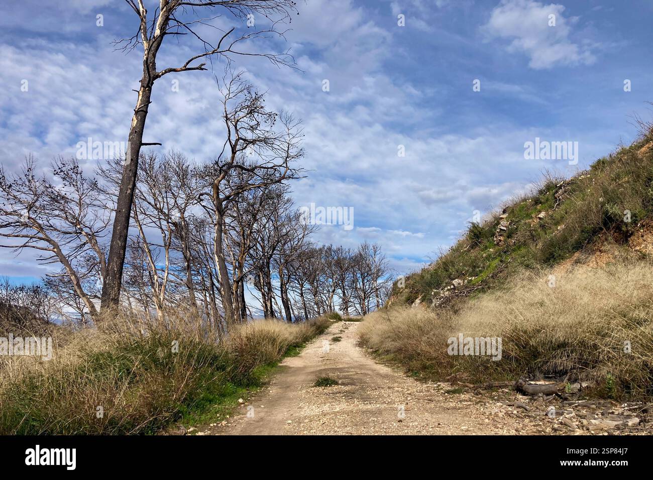 Hiking on trail along abandoned open-pit mine and burnt trees near Mijas, Spain - Smartphone Captured Stock Image