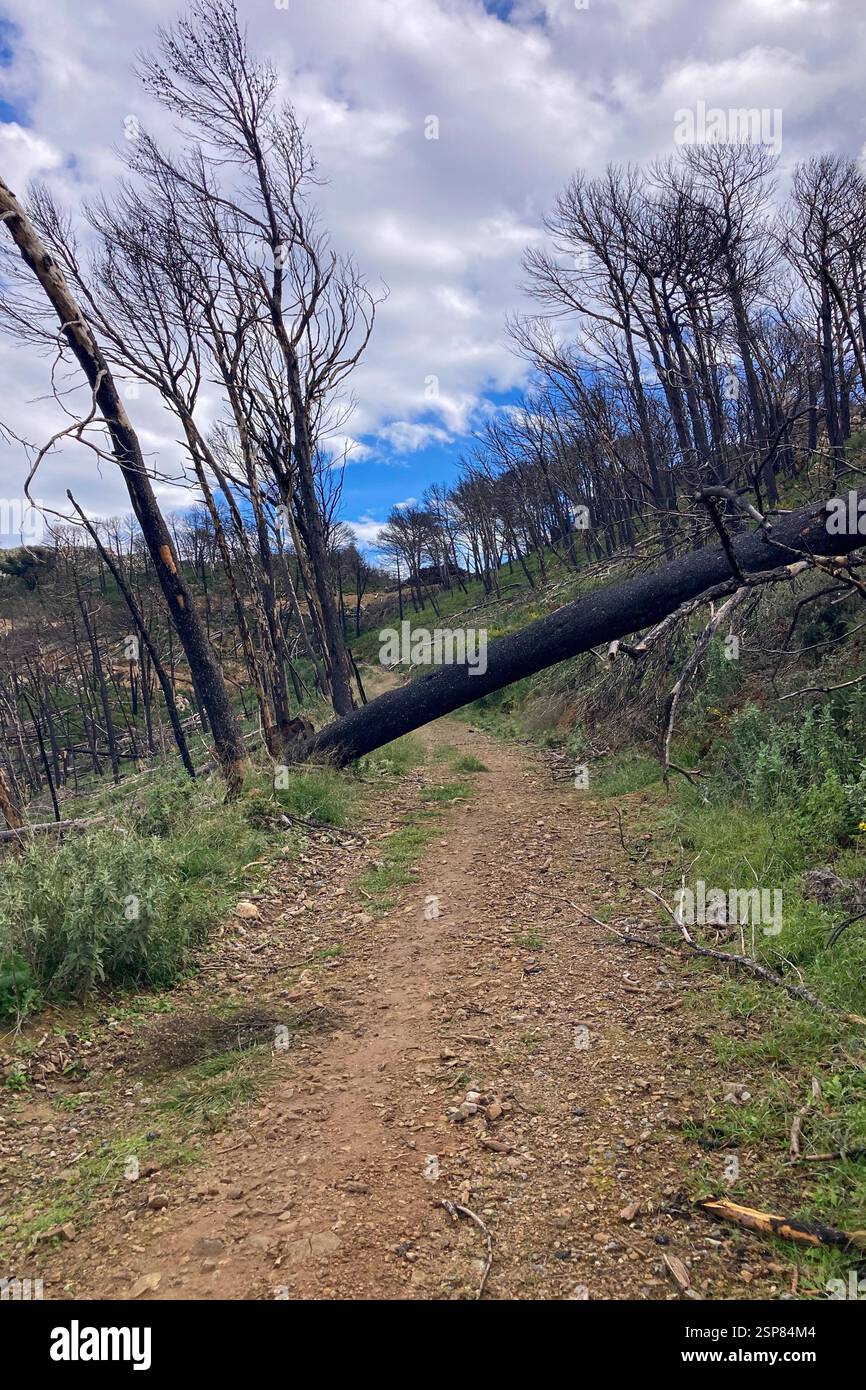 Hiking on trail along abandoned open-pit mine and burnt trees near Mijas, Spain - Smartphone Captured Stock Image