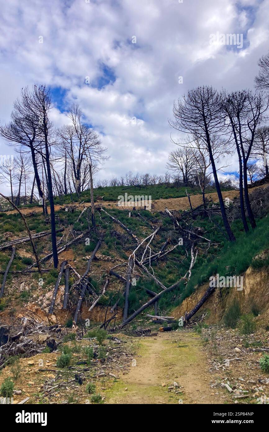 Hiking on trail along abandoned open-pit mine and burnt trees near Mijas, Spain - Smartphone Captured Stock Image