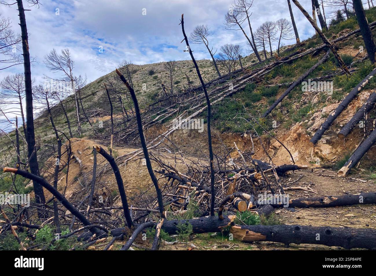 Hiking on trail along abandoned open-pit mine and burnt trees near Mijas, Spain - Smartphone Captured Stock Image