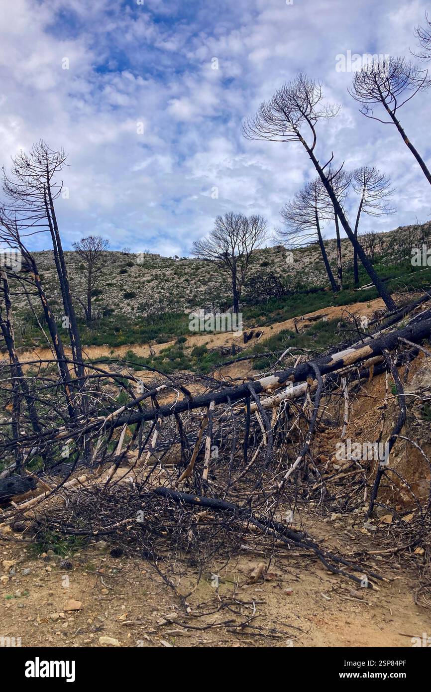 Hiking on trail along abandoned open-pit mine and burnt trees near Mijas, Spain - Smartphone Captured Stock Image