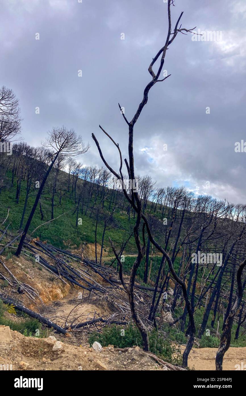 Hiking on trail along abandoned open-pit mine and burnt trees near Mijas, Spain - Smartphone Captured Stock Image