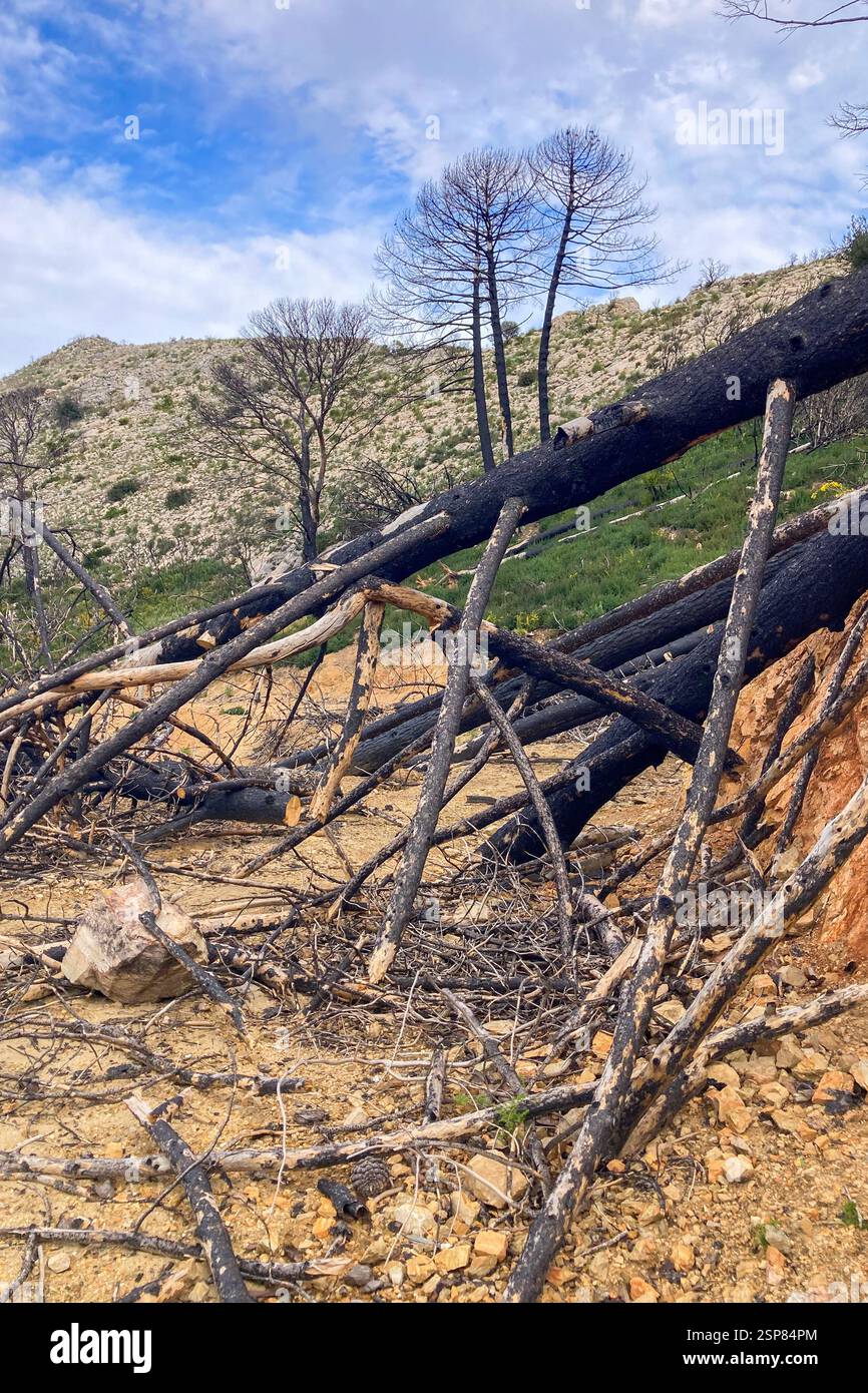 Hiking on trail along abandoned open-pit mine and burnt trees near Mijas, Spain - Smartphone Captured Stock Image