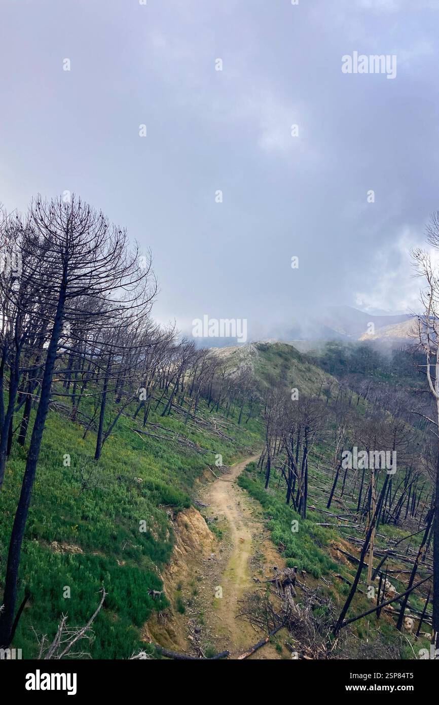 Hiking on trail along abandoned open-pit mine and burnt trees near Mijas, Spain - Smartphone Captured Stock Image