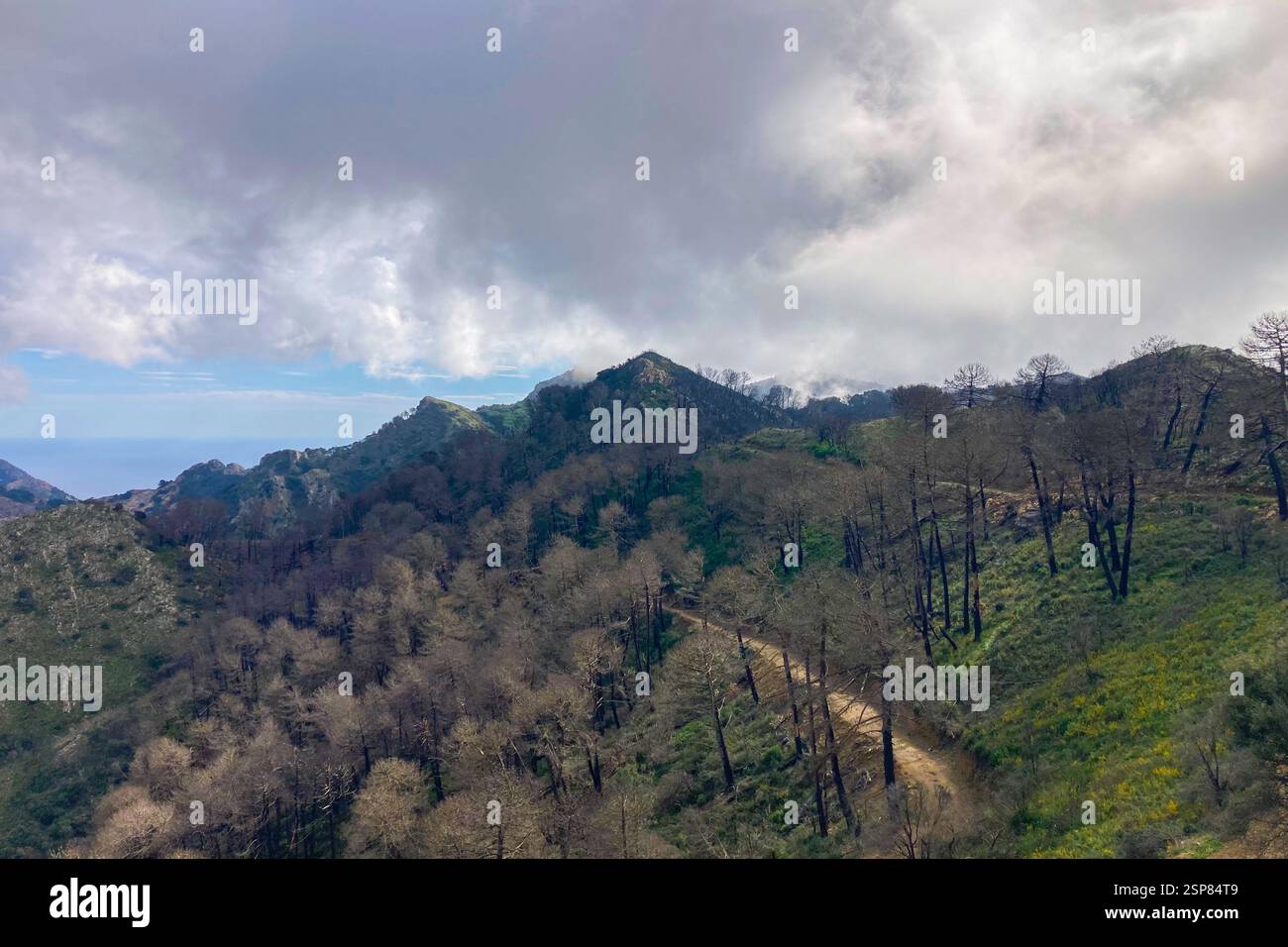 Hiking on trail along abandoned open-pit mine and burnt trees near Mijas, Spain - Smartphone Captured Stock Image