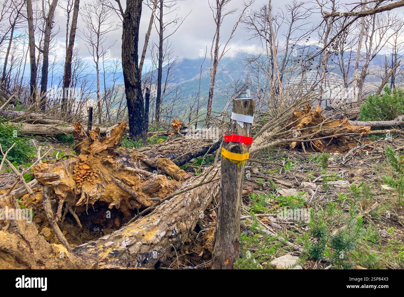 Hiking on trail along abandoned open-pit mine and burnt trees near Mijas, Spain - Smartphone Captured Stock Image