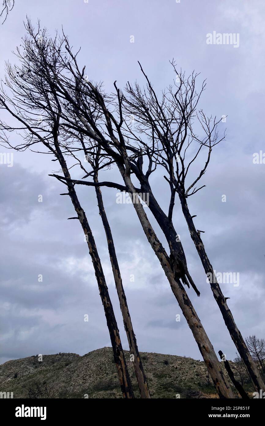 Hiking on trail along abandoned open-pit mine and burnt trees near Mijas, Spain - Smartphone Captured Stock Image
