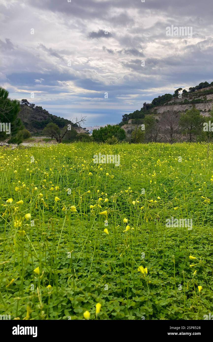 Hiking on trail along abandoned open-pit mine and burnt trees near Mijas, Spain - Smartphone Captured Stock Image