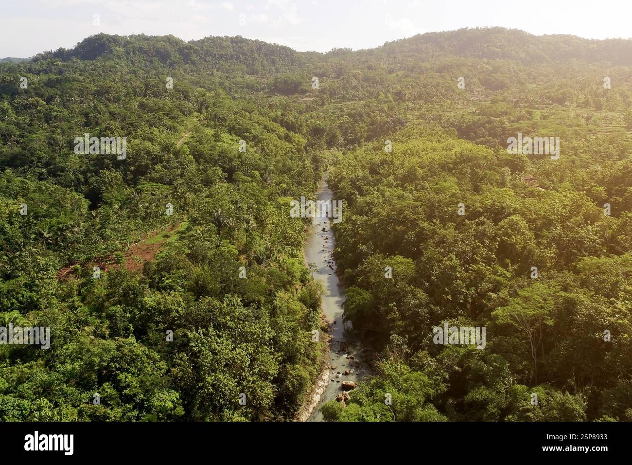 aerial photo of a river in the middle of a forest Stock Photo - Alamy