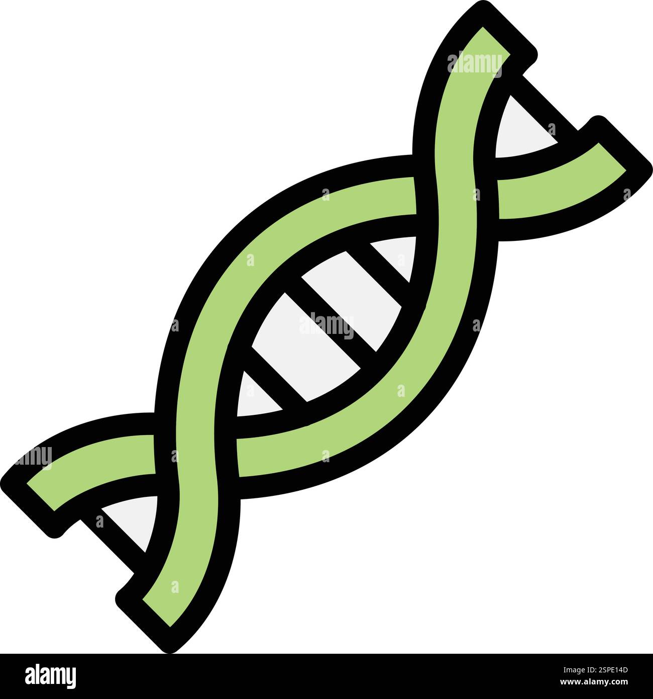 Dna structure vector vectors hi-res stock photography and images - Alamy
