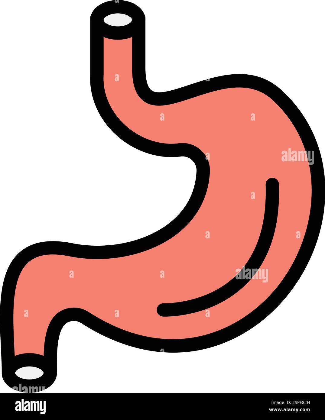 Stomach Vector Icon Design Illustration Stock Vector