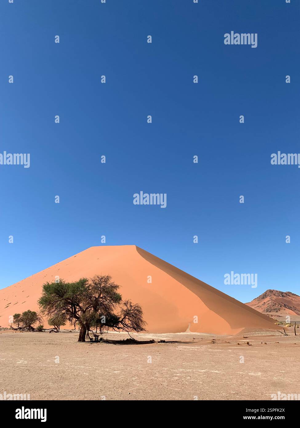 Sand dune in Namibia desert - Smartphone Captured Stock Image