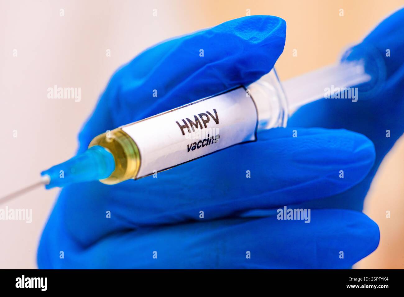 Hmpv is a negative sense single stranded rna virus of the family