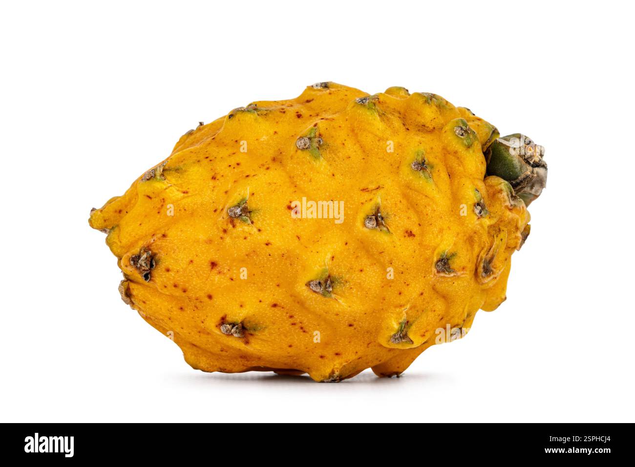 Pitaya Yellow Ripe Whole ripe yellow dragon fruit or pitaya isolated on white background ...