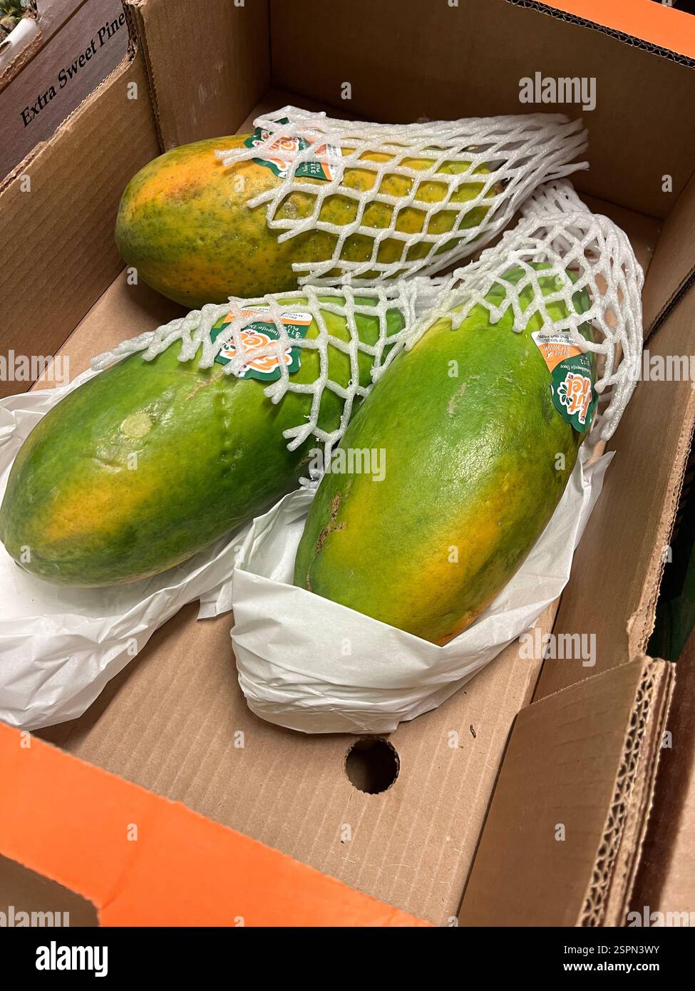 Carica papaya, papayas, papaya, papaw, pawpaw, crate, fruits, warehouse, storage, agriculture, food supply, logistics, distribution, supply chain - Smartphone Captured Stock Image