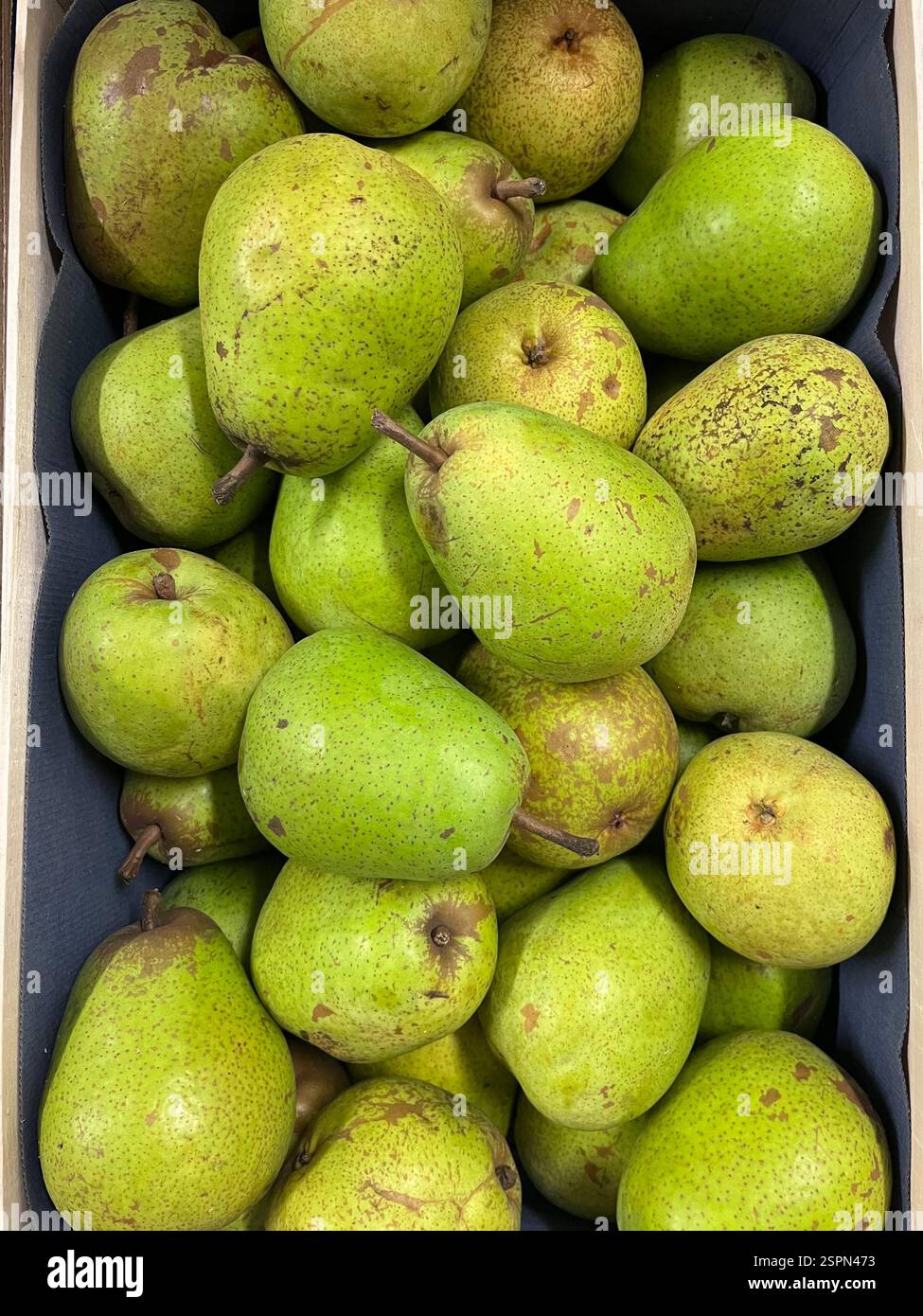 pears, Lucas pears, European pears, common pears, fruits, warehouse, storage, agriculture, food supply, logistics, distribution, supply chain - Smartphone Captured Stock Image
