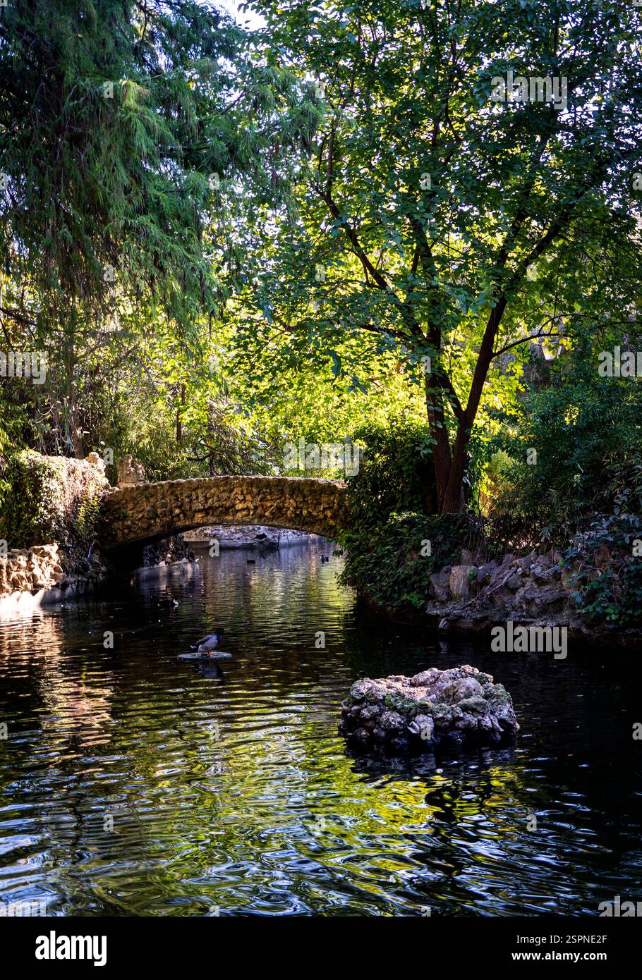 A serene landscape featuring a stone bridge over a calm, reflective ...