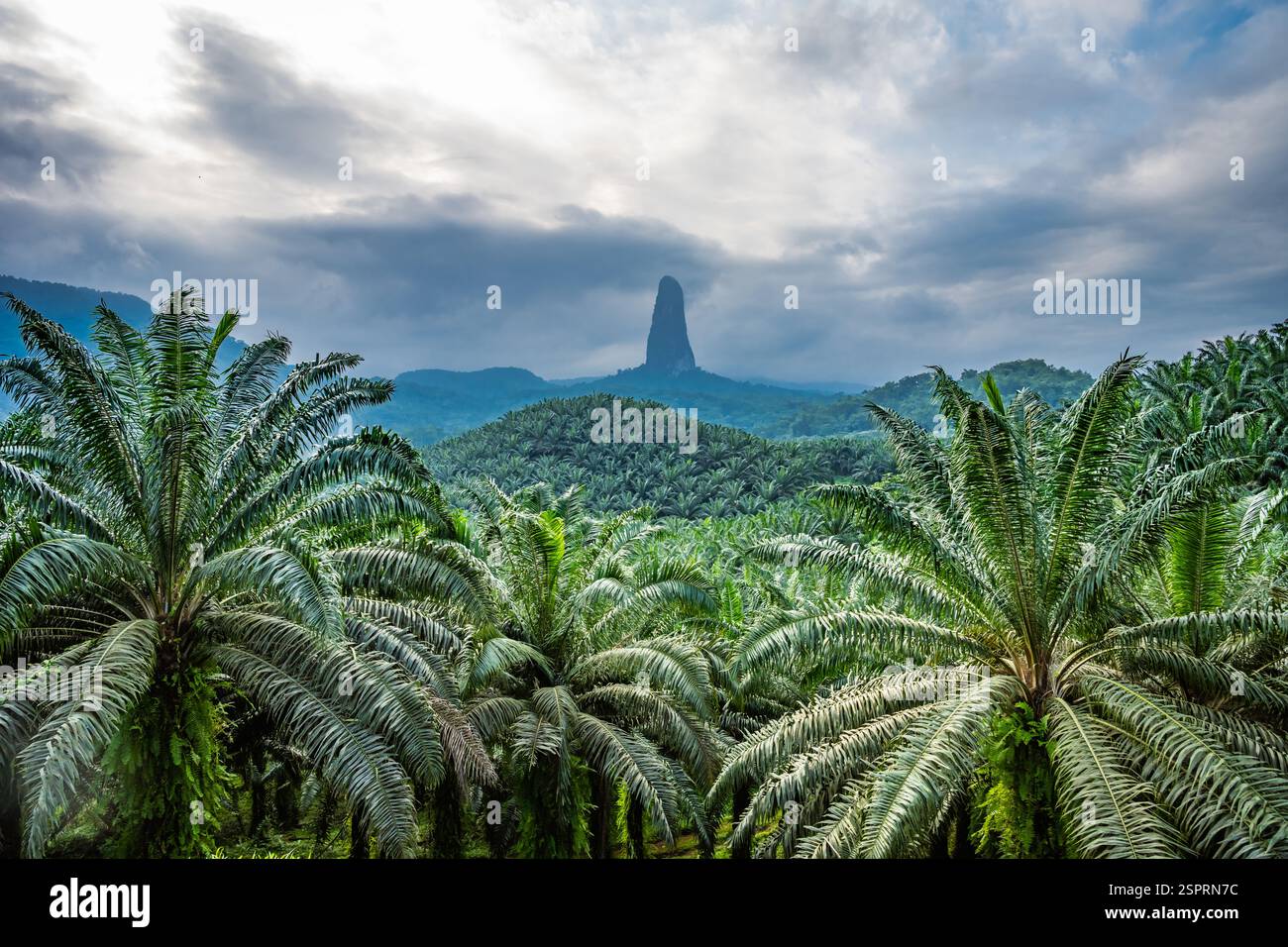 Parque Natural Obo De Sao Tome Hi res Stock Photography And Images Alamy