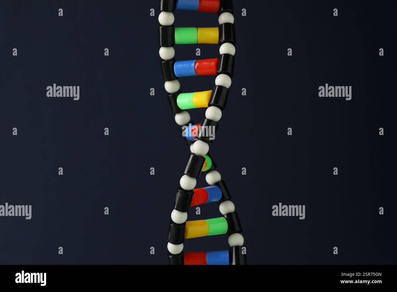 DNA structure model on dark background, closeup Stock Photo