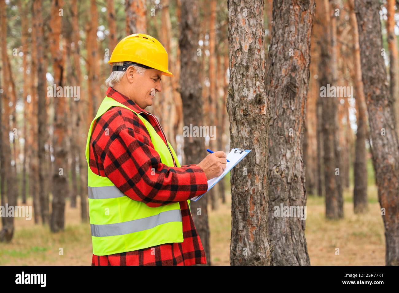 Senior forester taking notes on clipboard in forest Stock Photo