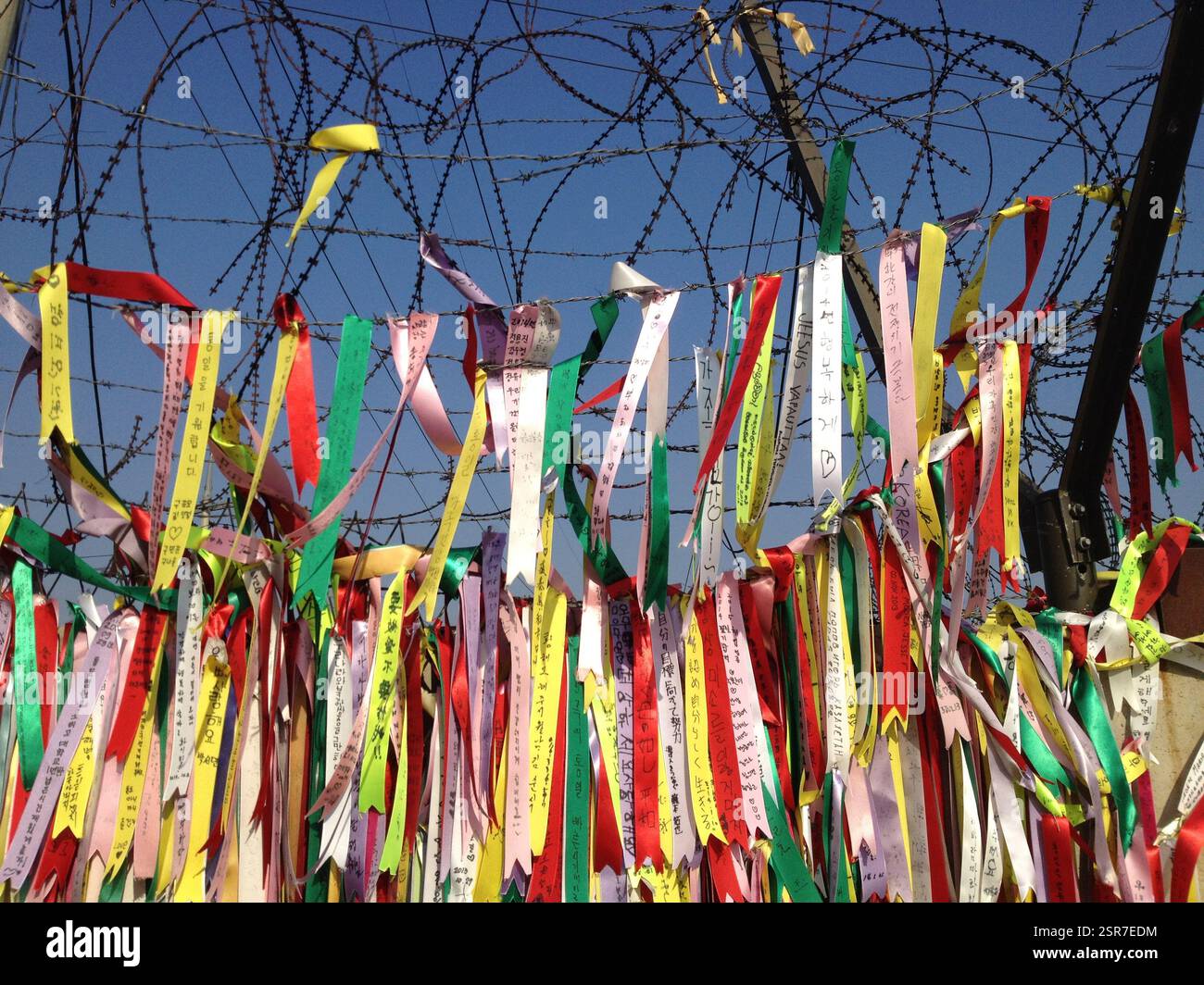 Barbed wire fence adorned with colorful ribbons tied to it. Many of the ...