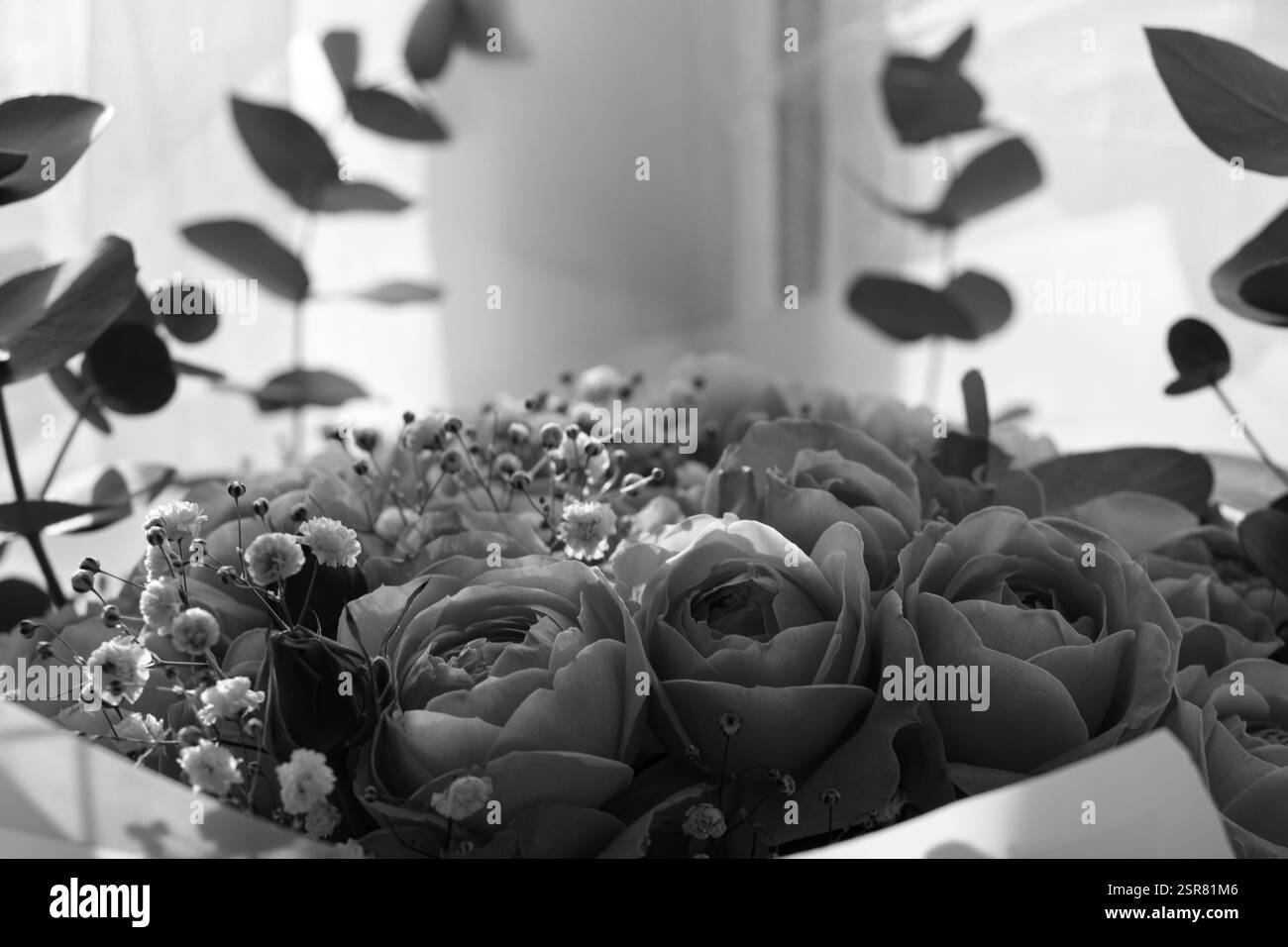 Black and white floral textile, HD phone wallpaper | Peakpx, image size:1300x956