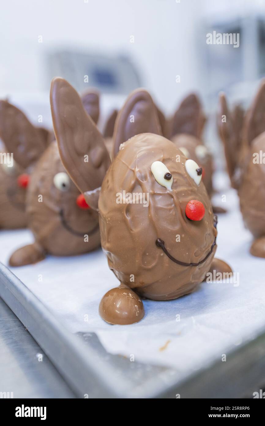 Several chocolate bunnies on a tray, detailed with smiling faces and ...