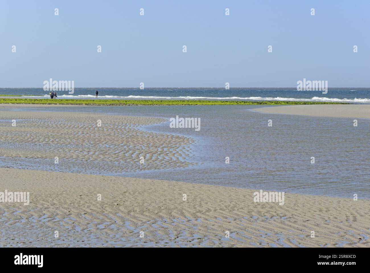 Beach at low tide with wave-like structure, current ripples in wet sand ...