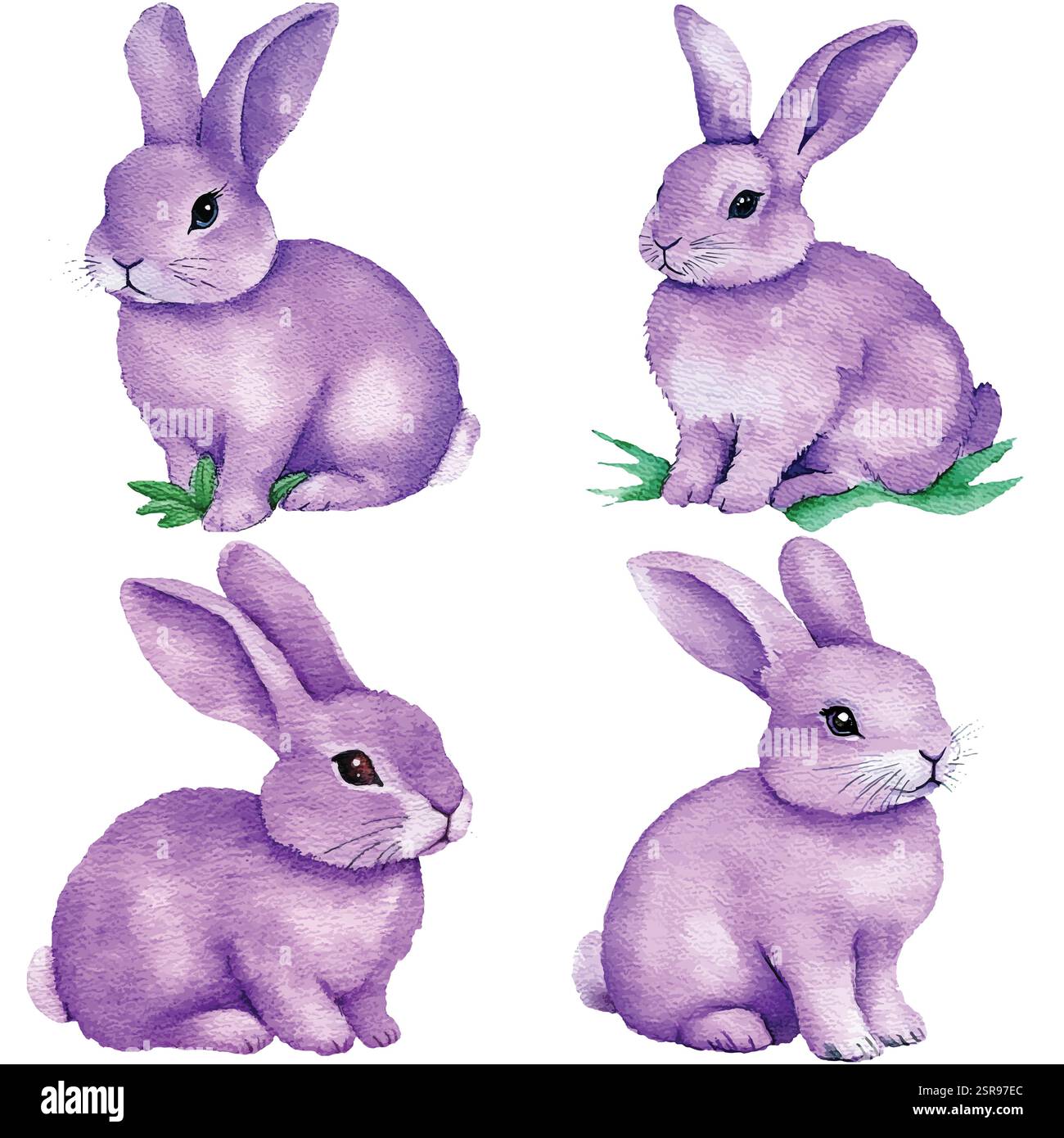 A handdrawn watercolor illustration of Bunny Watercolor Set that was ...