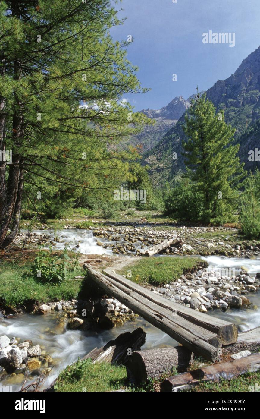 Rakhsam, Sangla, Kinnaur, Himachal Pradesh, India, Asia Stock Photo