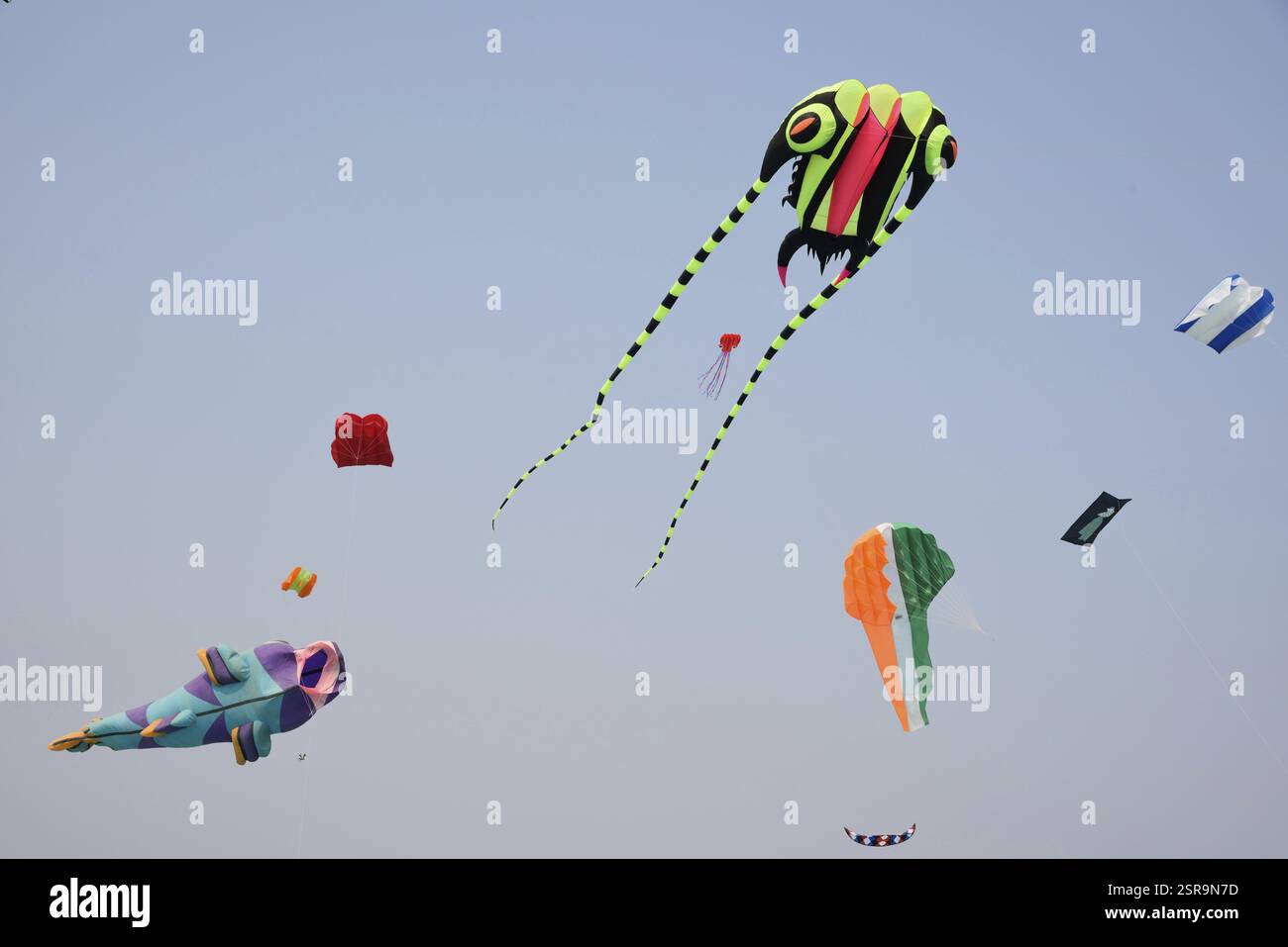 Kite like fish, International Kite Festival, Tithal, Valsad, Gujarat ...
