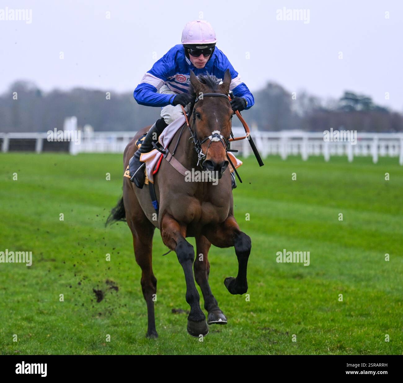 Ascot Racecourse, Berkshire, England. 15 February, 2025. Pic D'Orhy ...