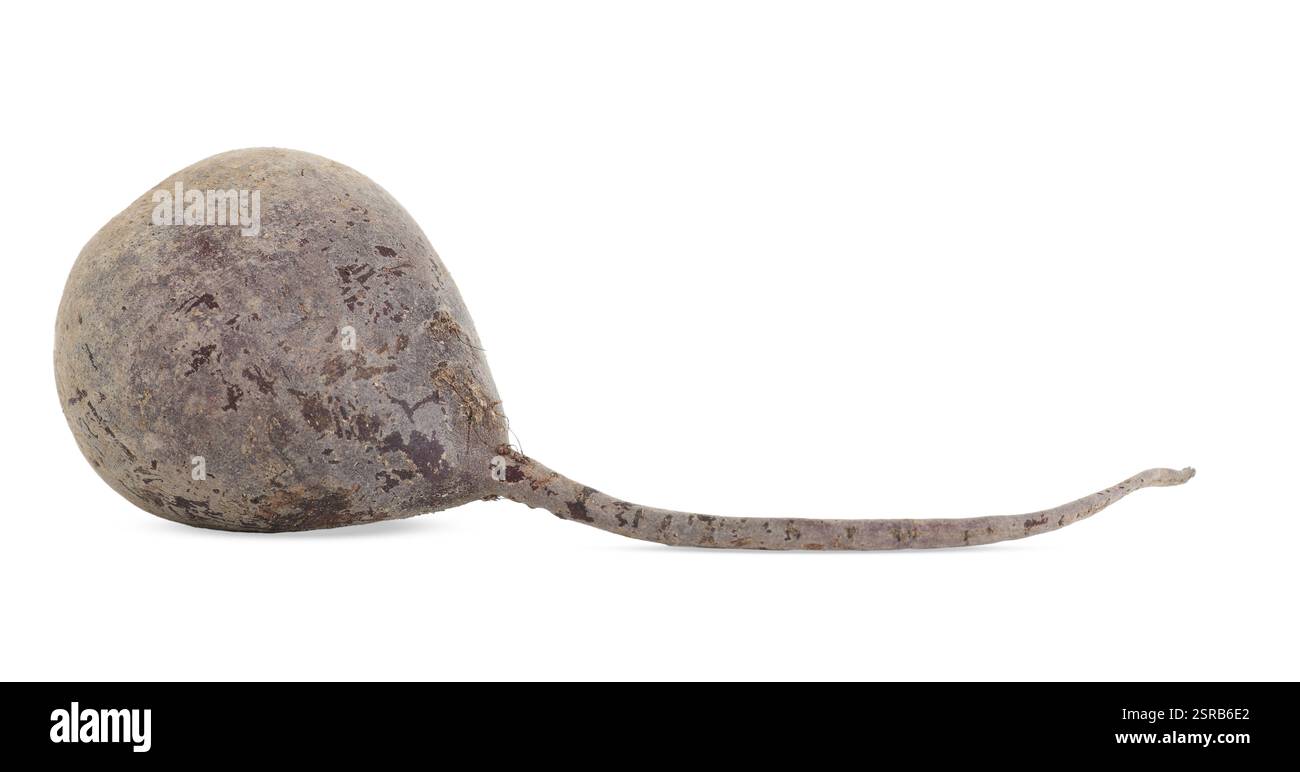 One fresh beetroot isolated on white. Vegetable root Stock Photo - Alamy