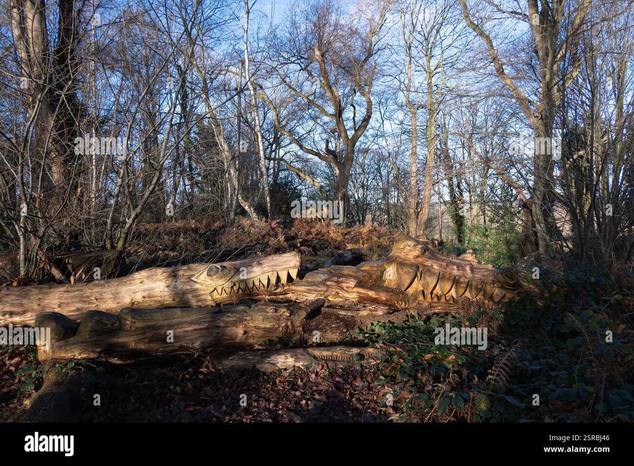 Carved wooden crocodiles in woodland Stock Photo