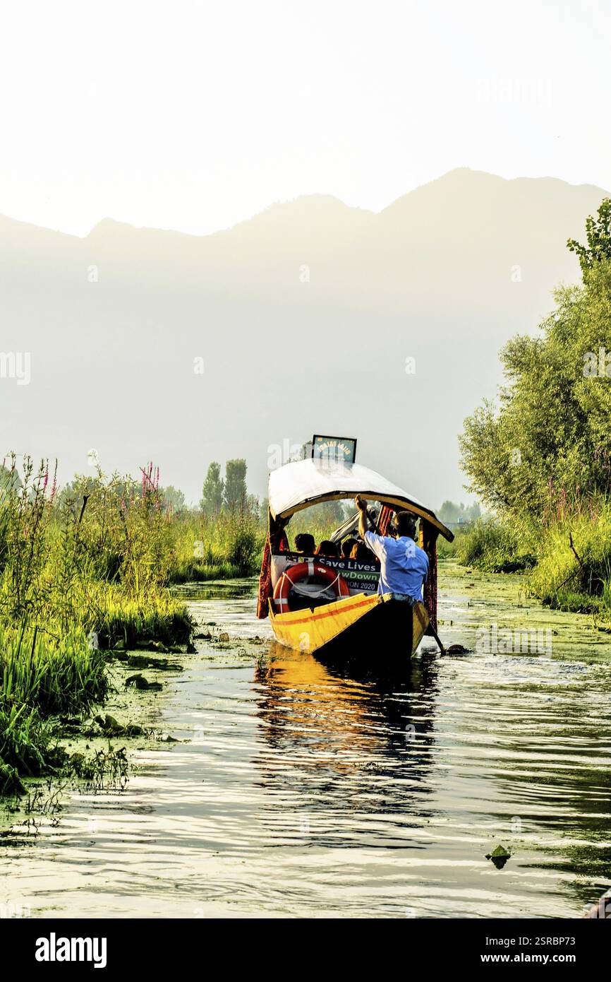 Shikara ride, Dal Lake, Srinagar, Kashmir, India, Asia Stock Photo - Alamy