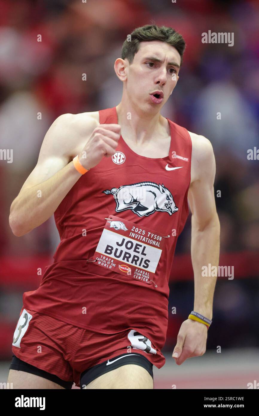 Tyson Razorback Icon Razorback track hi-res stock photography and images - Alamy