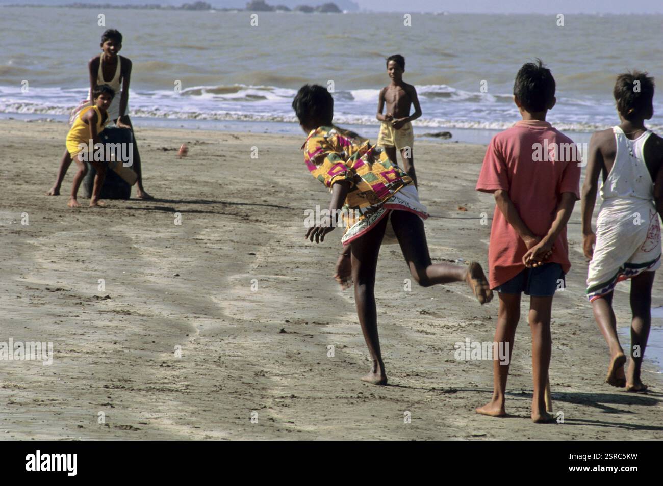 Multiple individual insects hi-res stock photography and images - Alamy