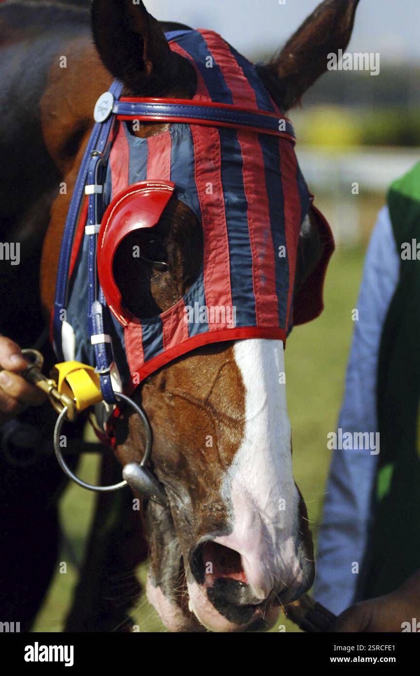 Winning horse Mahalaxmi Race Course Mumbai Maharashtra India Asia
