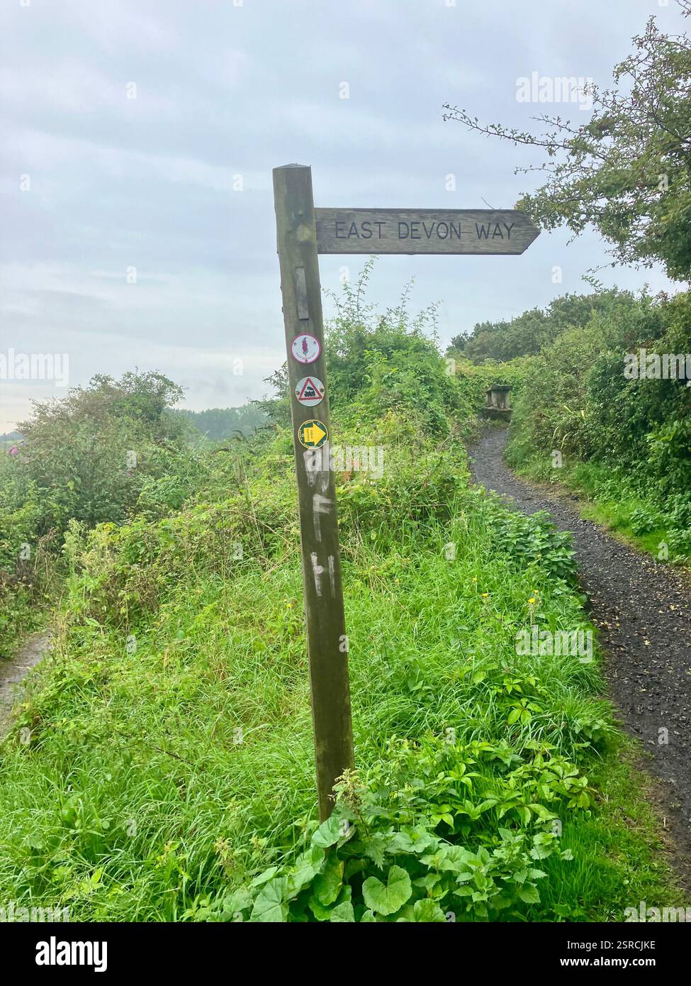 East Devon Way Wooden Direction Sign, East Devon, England - Smartphone Captured Stock Image