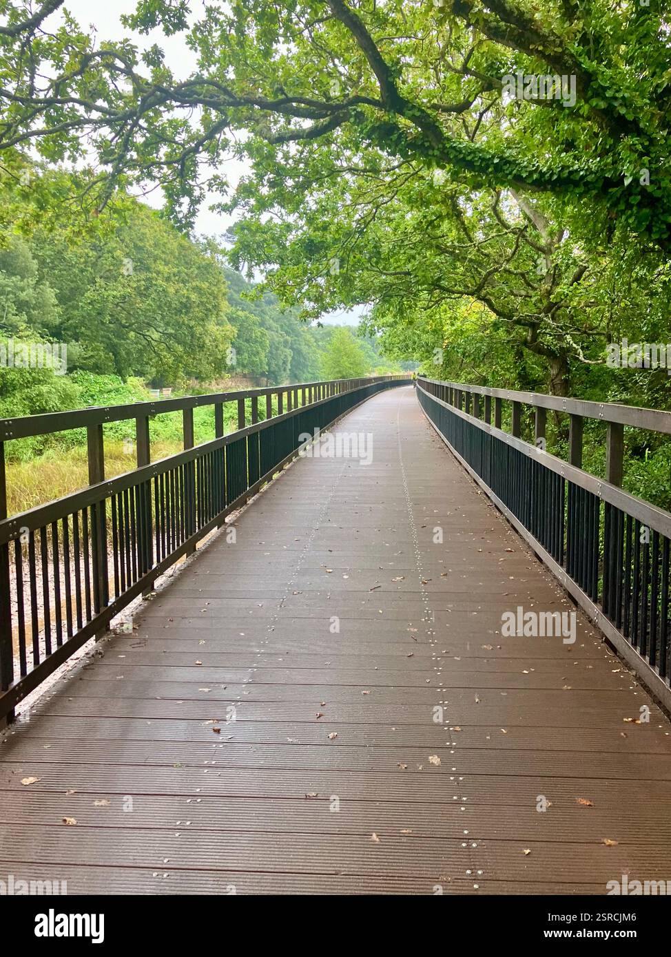 Foot Bridge on the Exe Valley Way Walking Between Exmouth and Topsham, Devon - Smartphone Captured Stock Image